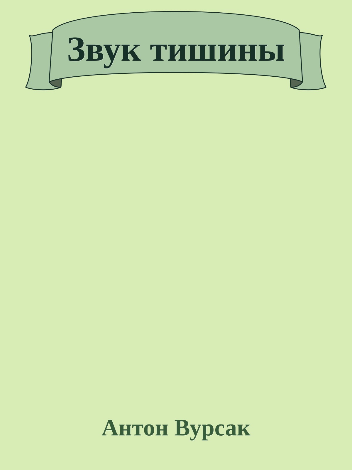 Звук тишины
