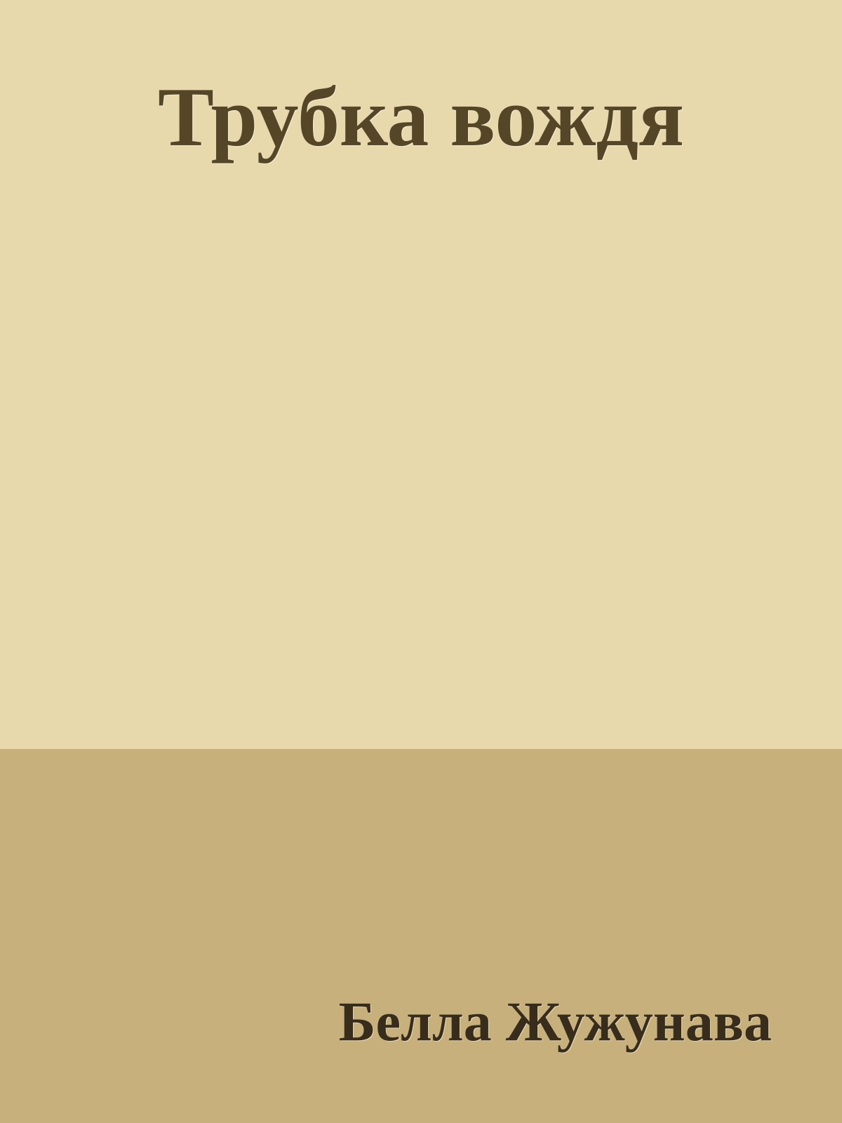 Трубка вождя