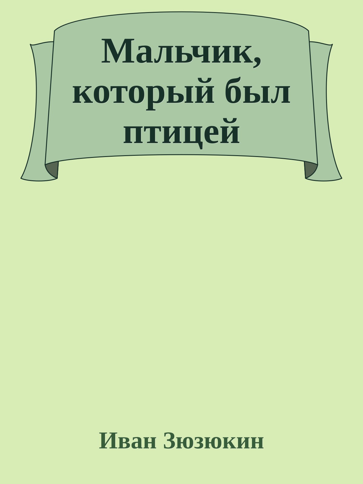 Мальчик, который был птицей