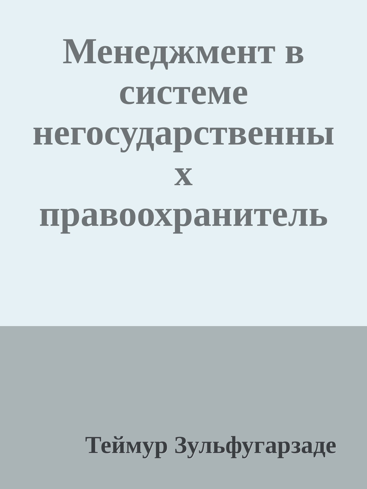Менеджмент в системе негосударственных правоохранительных организаций (Мекосепрология)