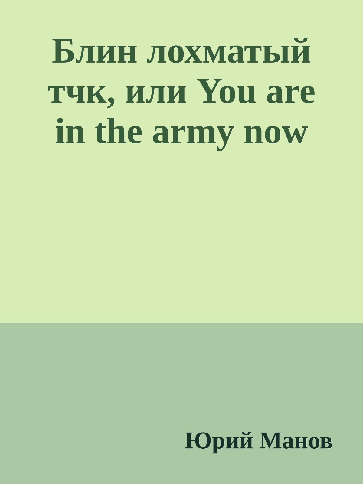 Блин лохматый тчк, или You are in the army now