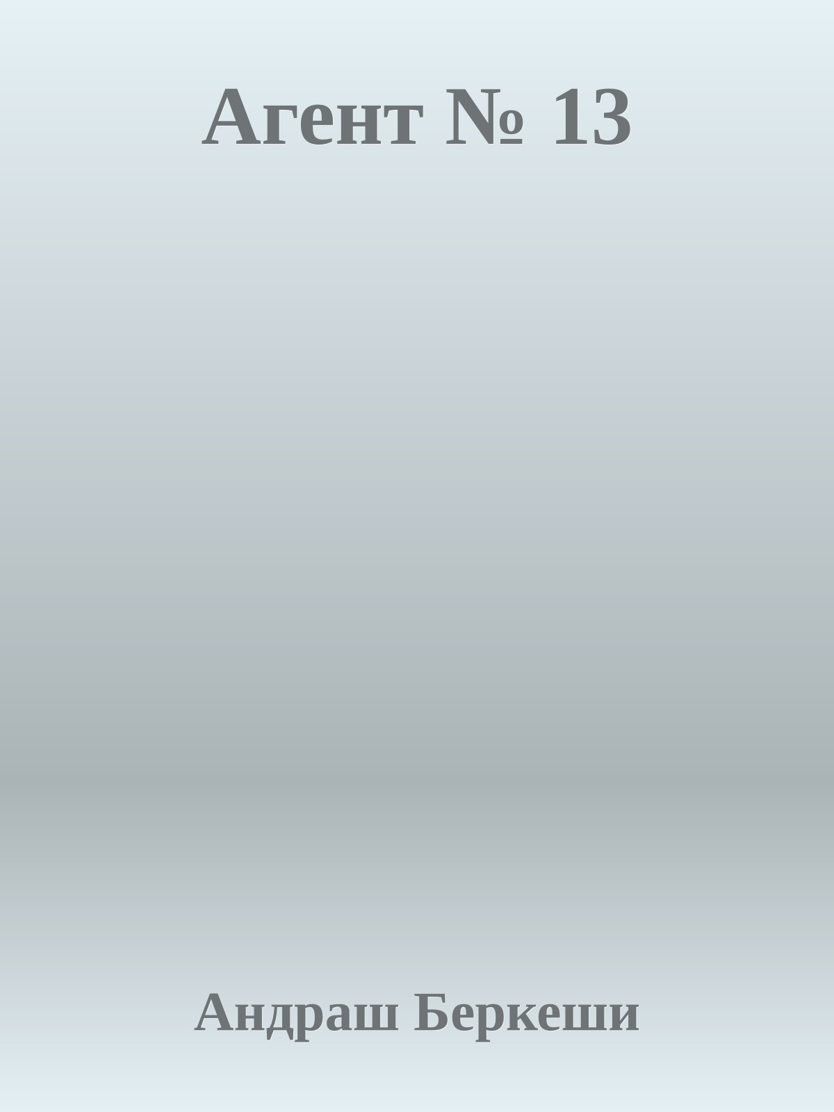 Агент № 13