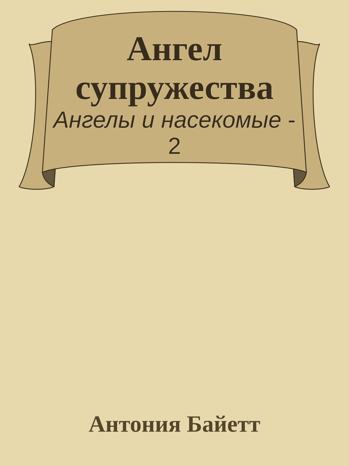 Ангел супружества