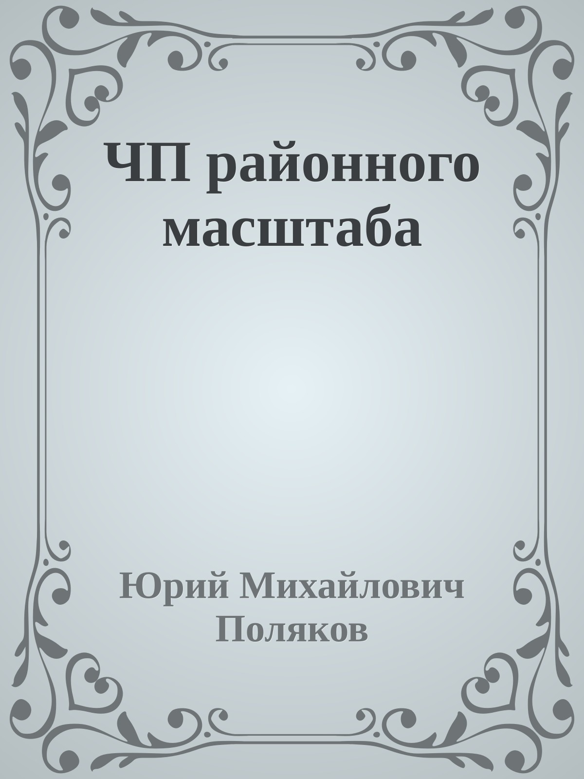 ЧП районного масштаба