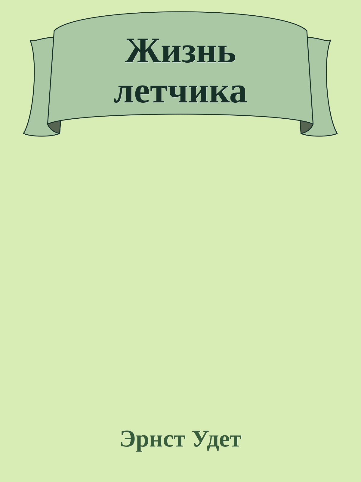 Жизнь летчика