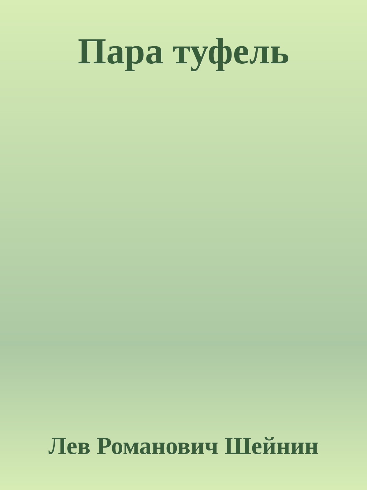 Пара туфель