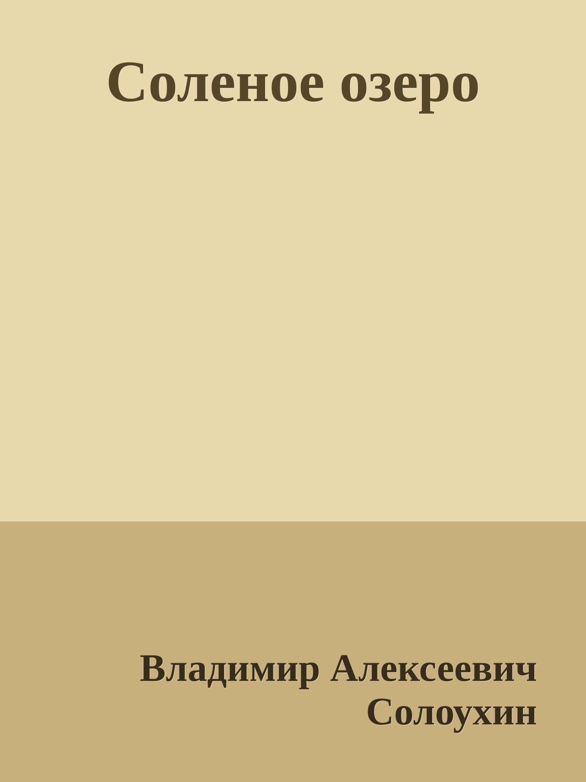 Соленое озеро