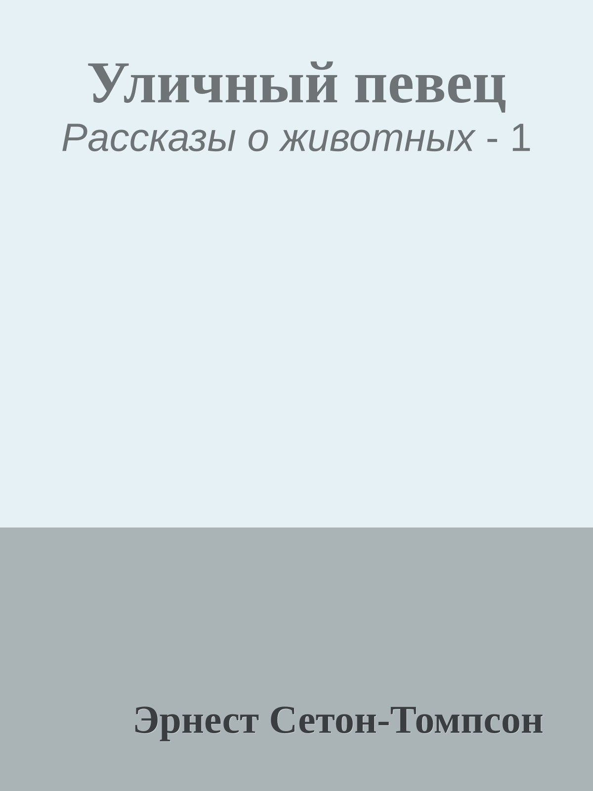 Уличный певец