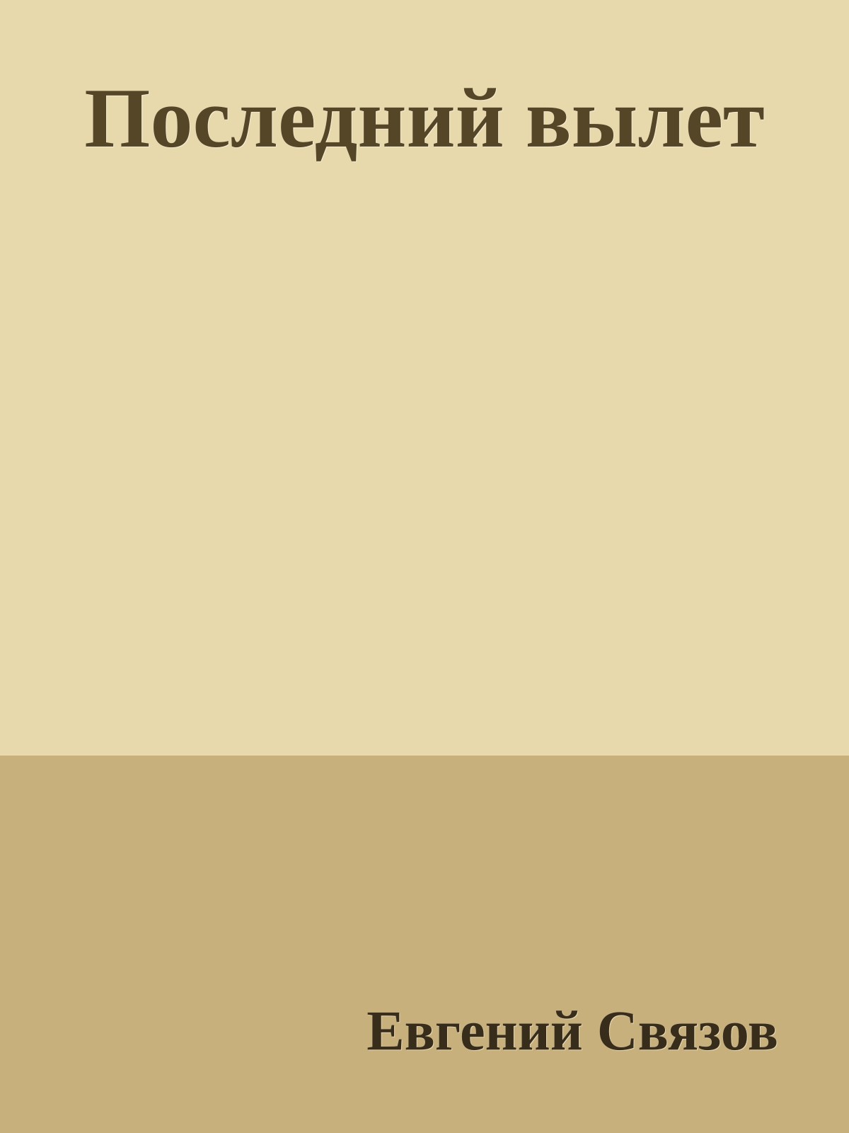 Последний вылет