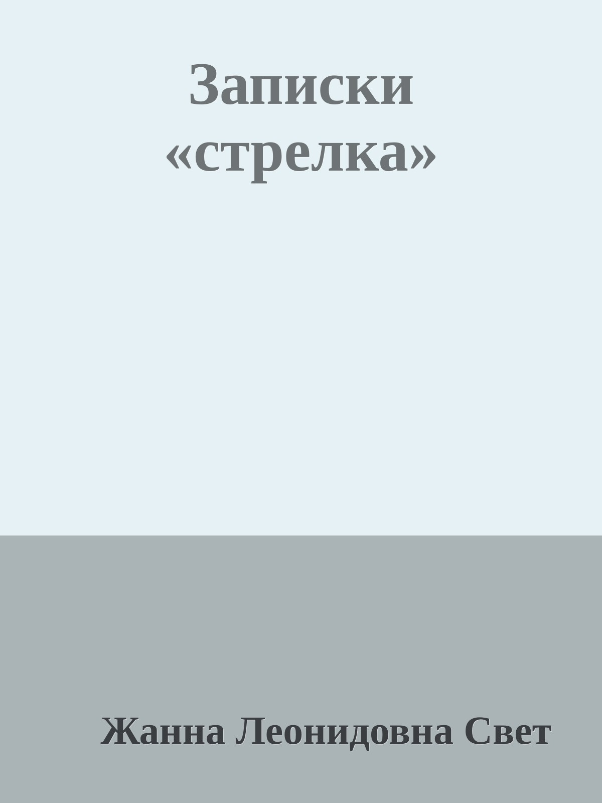 Записки «стрелка»