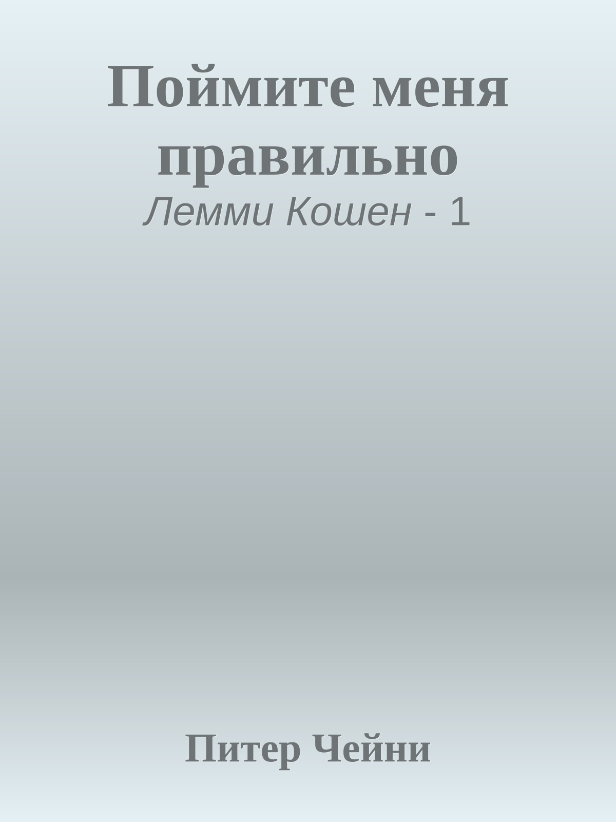 Поймите меня правильно