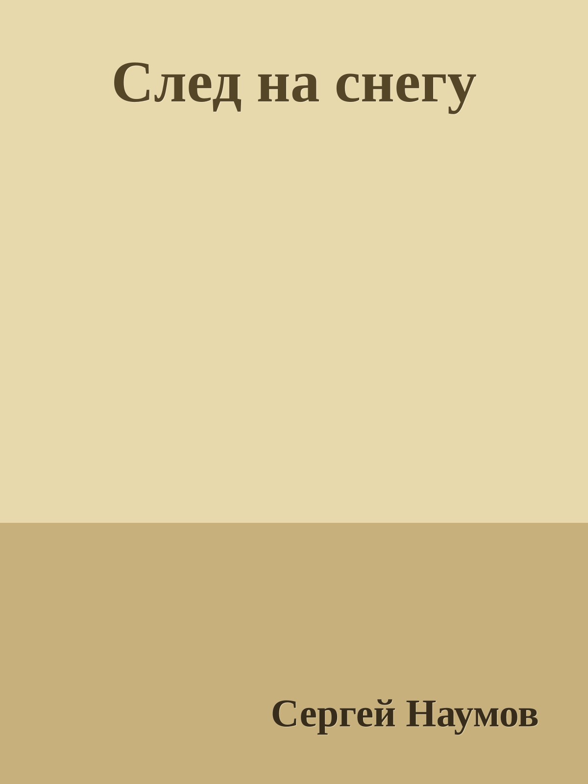 След на снегу