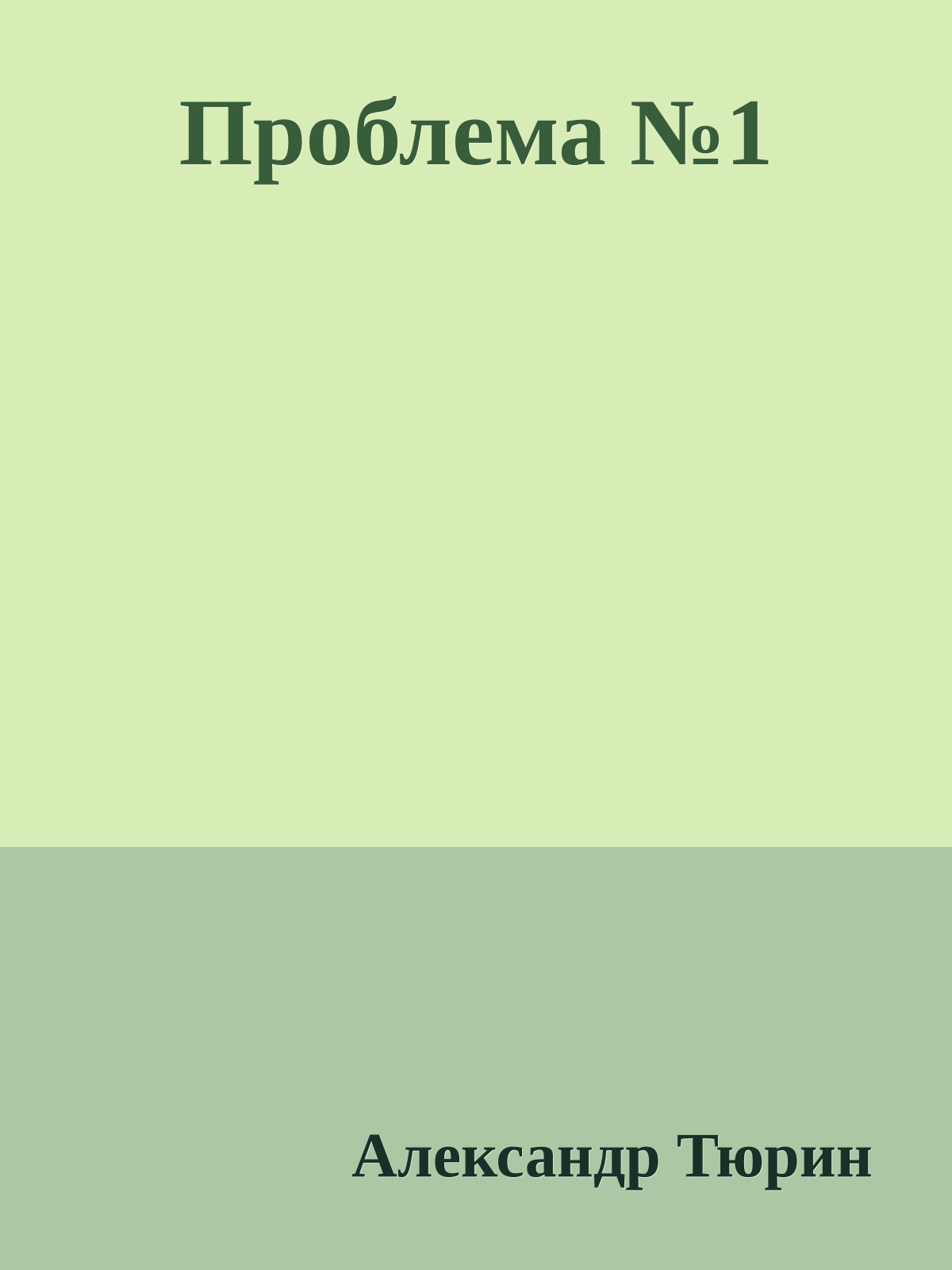 Проблема №1