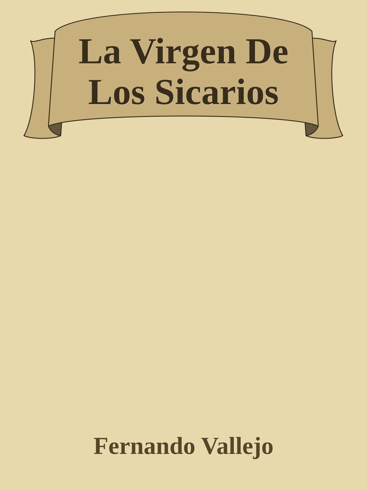 La Virgen De Los Sicarios