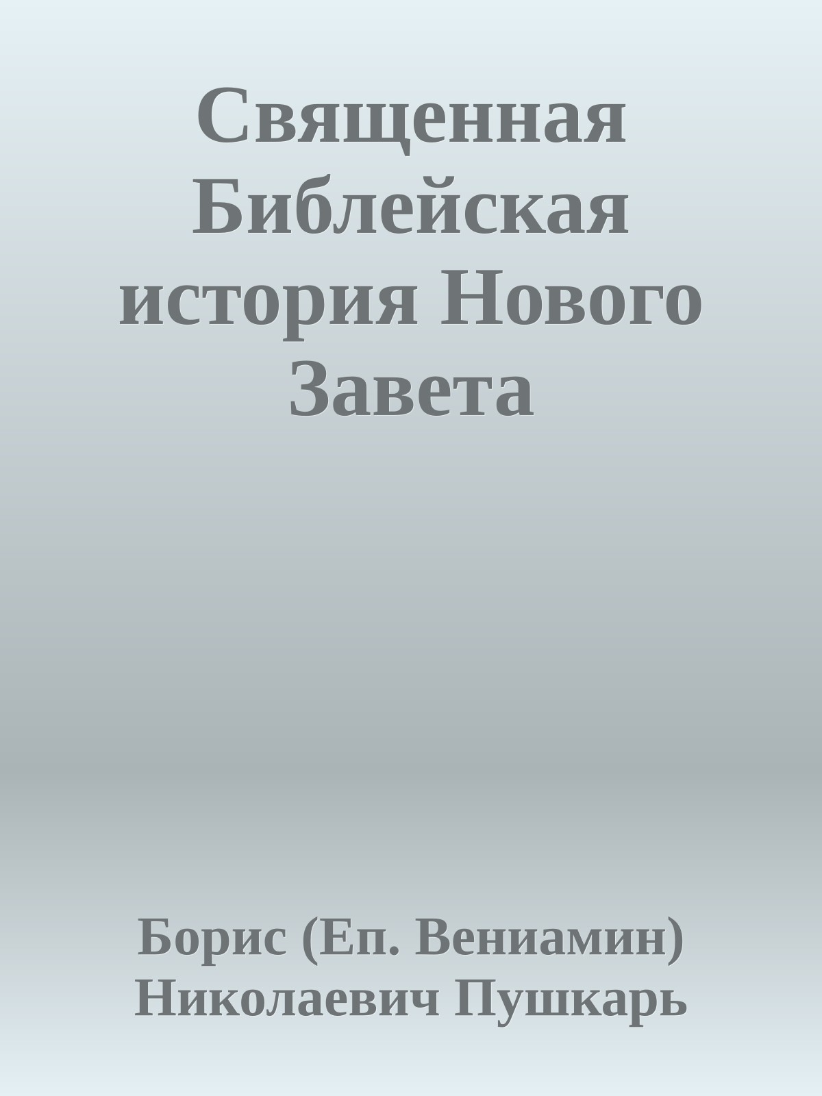 Священная Библейская история Нового Завета