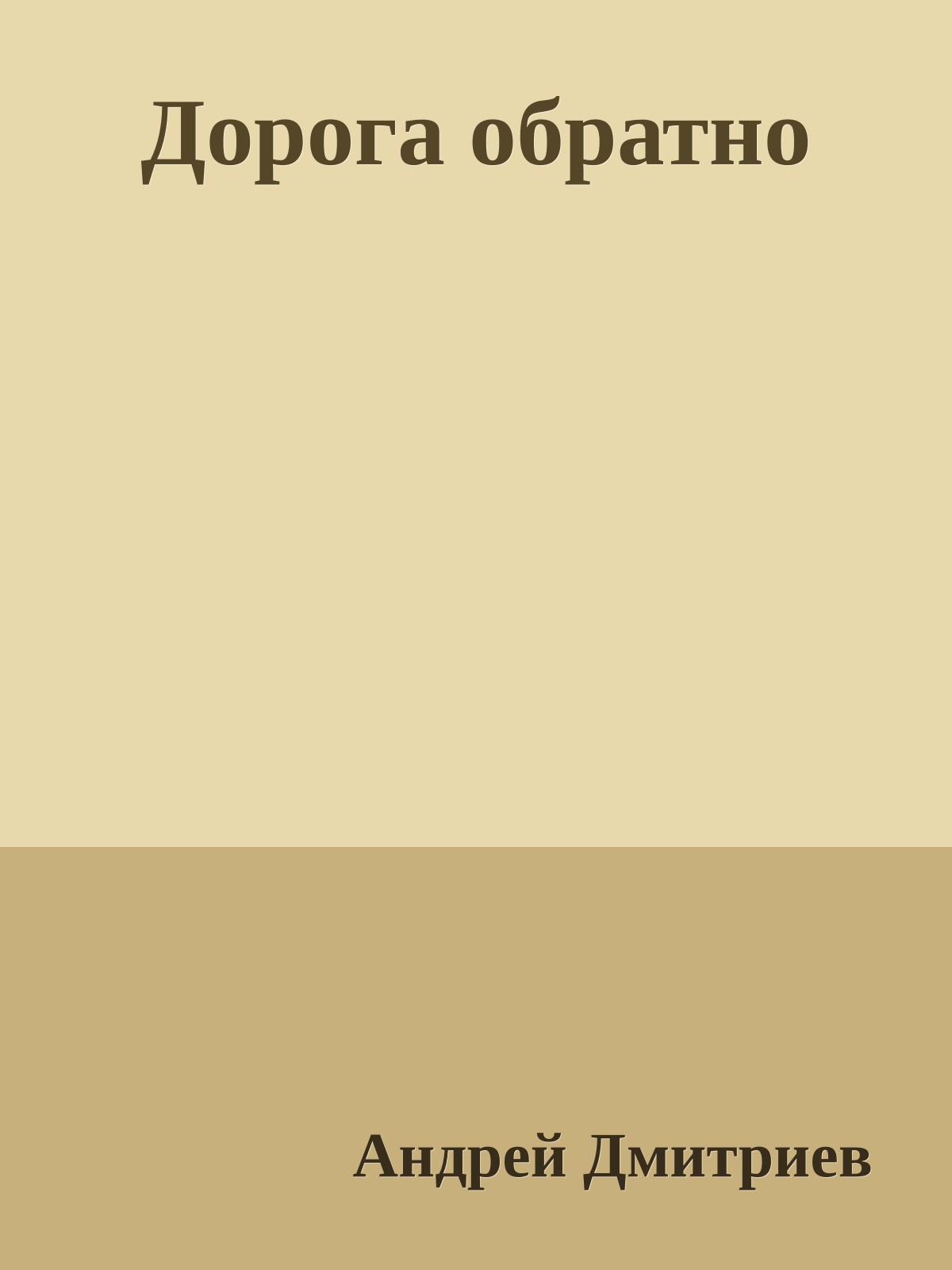 Дорога обратно