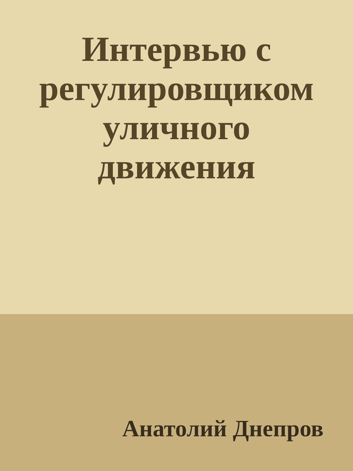 Интервью с регулировщиком уличного движения
