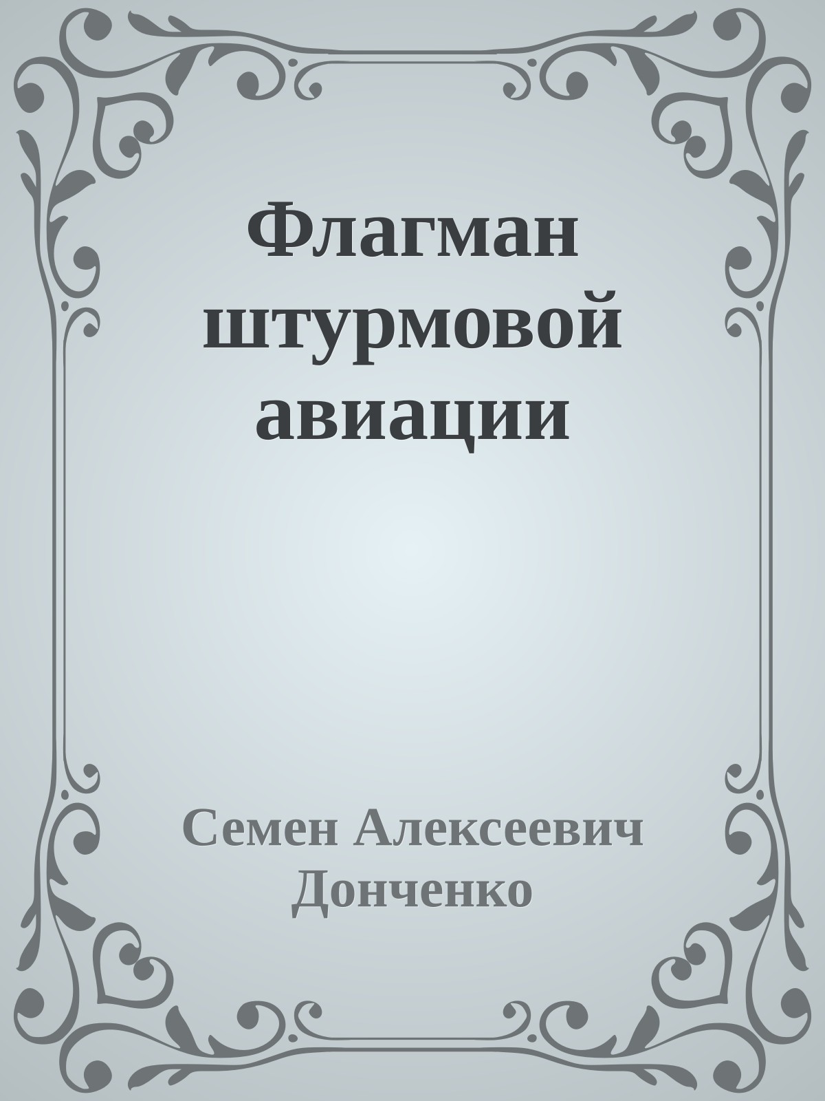 Флагман штурмовой авиации