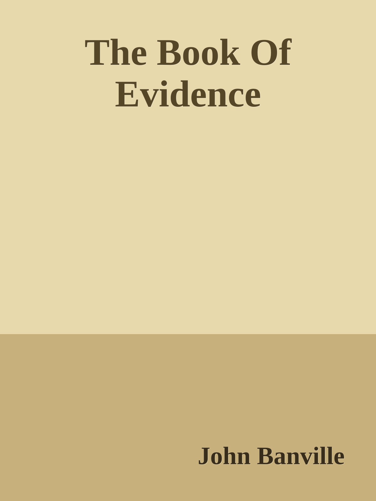 The Book Of Evidence