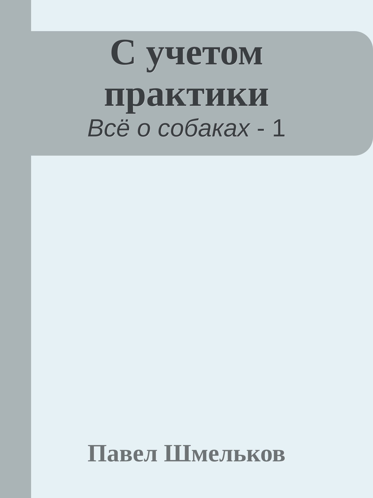 С учетом практики