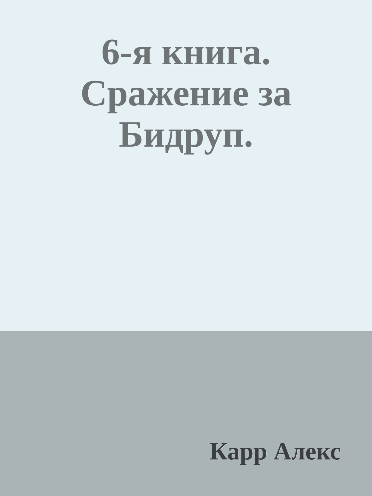 6-я книга. Сражение за Бидруп.