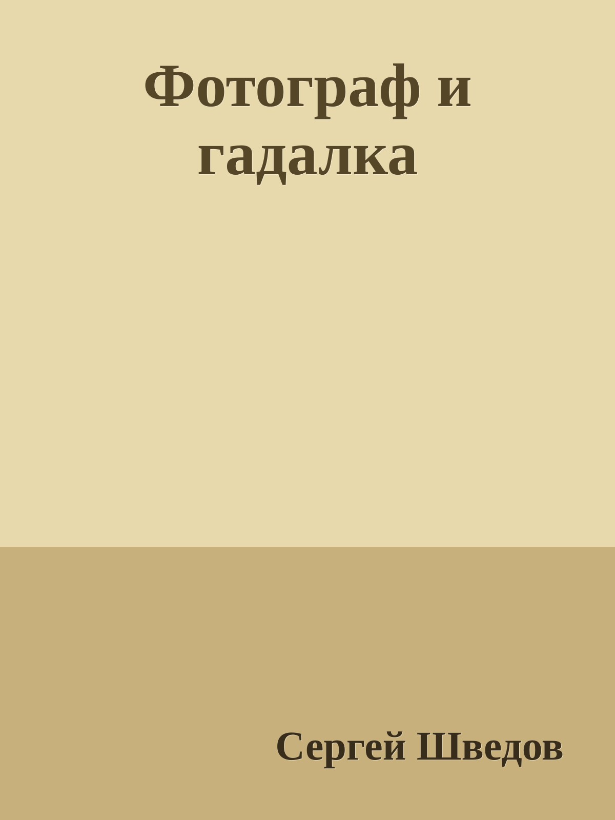Фотограф и гадалка