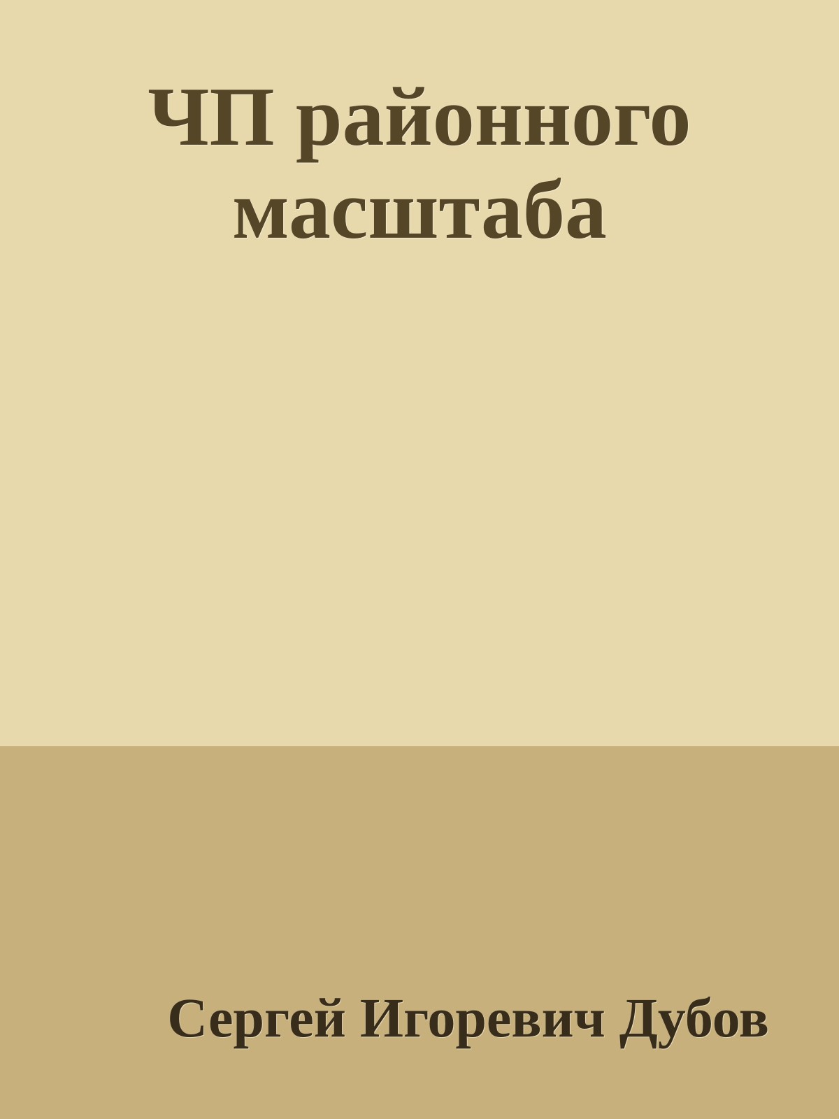 ЧП районного масштаба